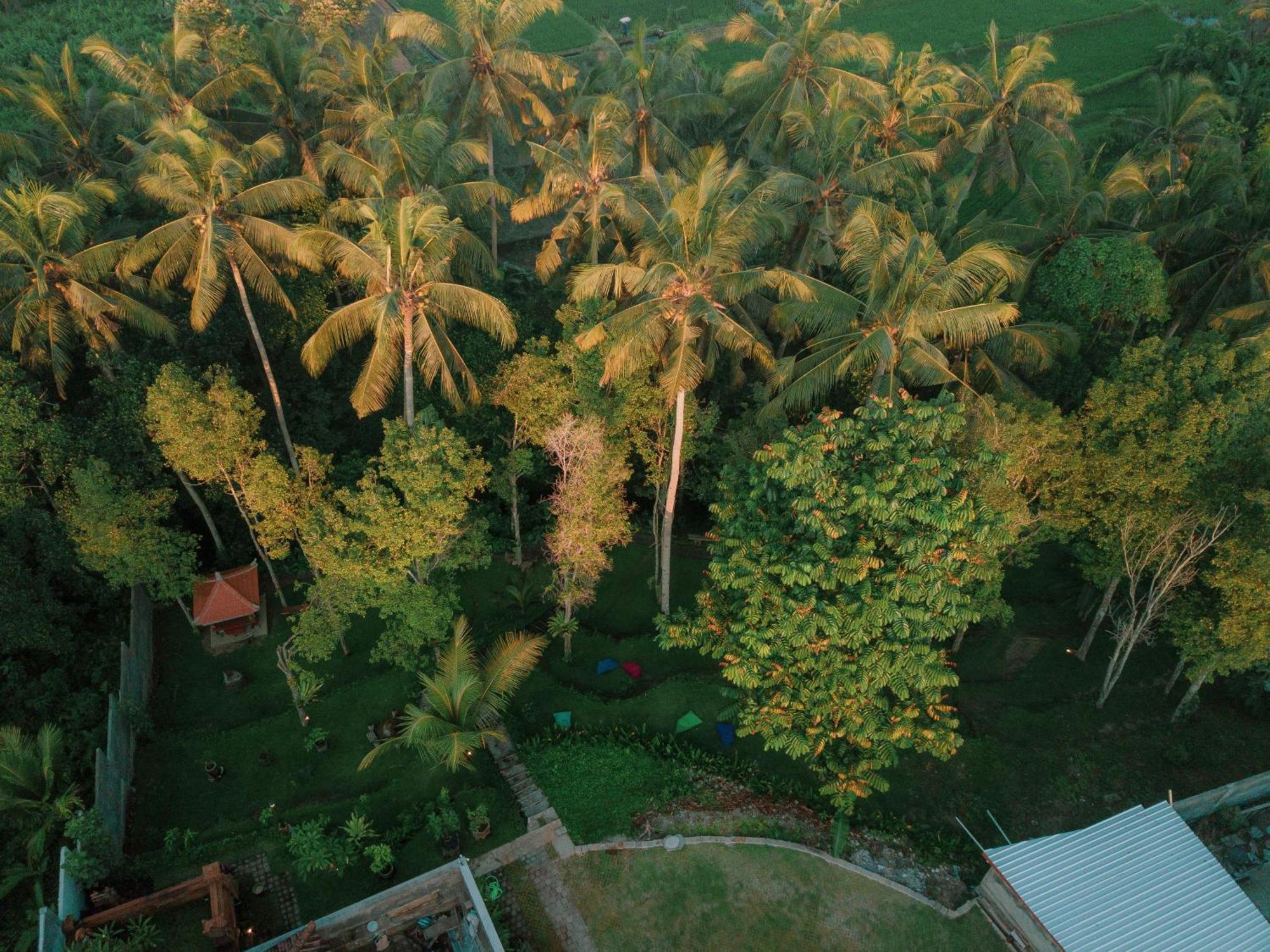 Готель Bali Made Escape Ґіаньяр Екстер'єр фото